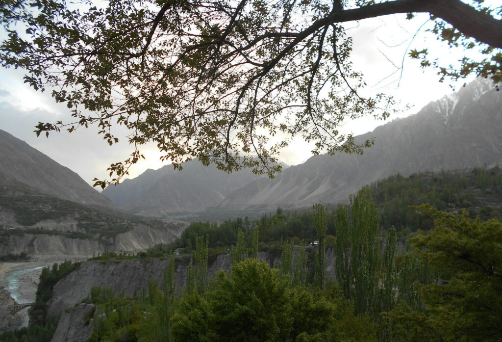 The Benefits of Choosing Organic Products Featured Image 0 1024x697