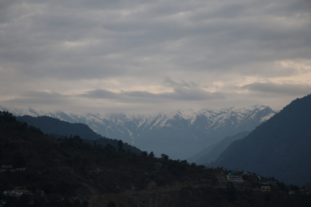 Eco-Friendly Living: Tips for a Sustainable Lifestyle Featured Image 3 1024x683