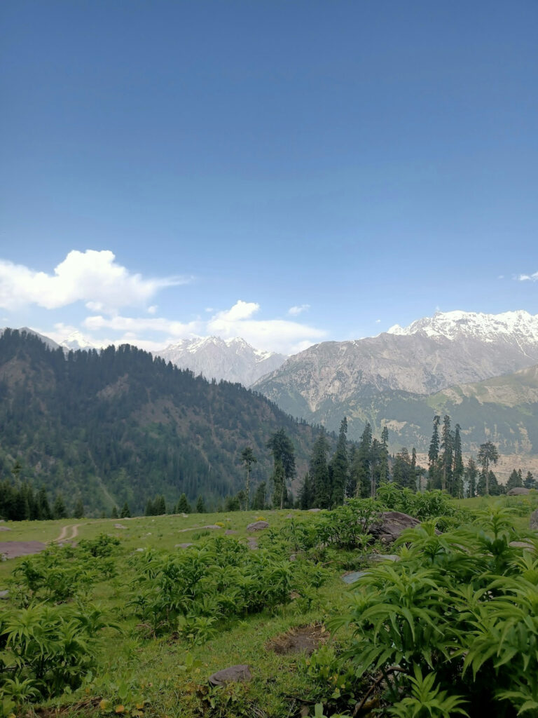 Why Chemical-Free Products Matter for Your Health Featured Image 5 768x1024